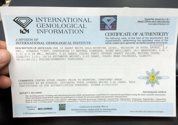 IGI sample appraisal